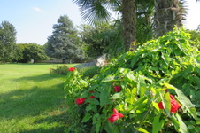 Enlarge photo 77