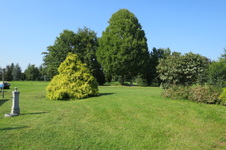 Enlarge photo 82