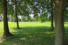 Enlarge photo 85