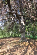 Enlarge photo 91