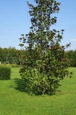 Enlarge photo 95