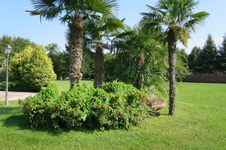 Enlarge photo 96