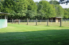 Enlarge photo 98