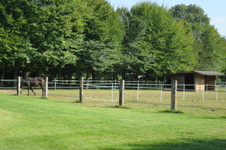 Enlarge photo 99
