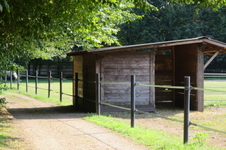 Enlarge photo 105