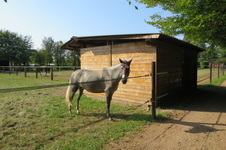 Enlarge photo 106