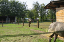 Enlarge photo 107