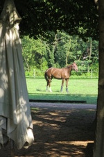 Enlarge photo 108