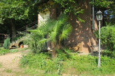 Enlarge photo 110