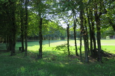Enlarge photo 112