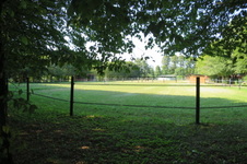 Enlarge photo 113