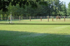Enlarge photo 114