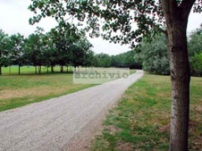 Enlarge photo 54