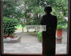Enlarge photo 33