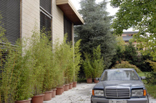 Enlarge photo 39