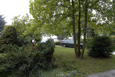 Enlarge photo 37