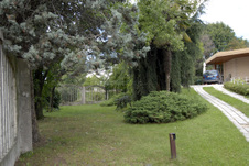 Enlarge photo 33