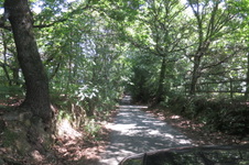 Baragge 