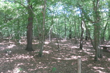 Enlarge photo 13