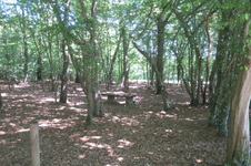 Enlarge photo 14