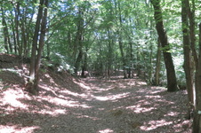 Enlarge photo 18