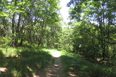 Enlarge photo 20