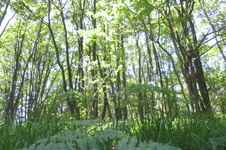 Enlarge photo 21