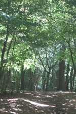 Enlarge photo 26