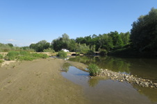 Enlarge photo 42