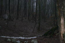 Enlarge photo 2