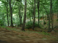 Sant Antonio