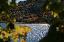Enlarge photo 16
