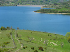Enlarge photo 20