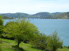 Enlarge photo 21