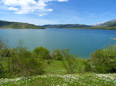 Enlarge photo 22