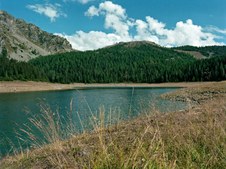 Enlarge photo 4