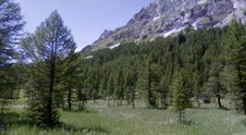 Enlarge photo 33