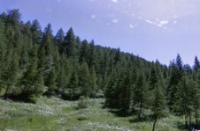 Enlarge photo 42