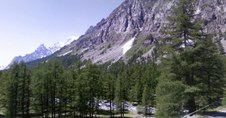 Enlarge photo 44