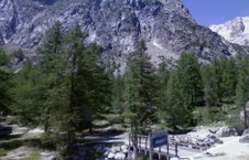 Enlarge photo 45