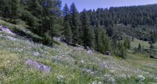 Enlarge photo 46