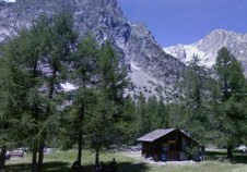 Enlarge photo 47