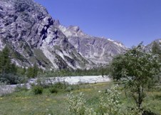 Enlarge photo 30