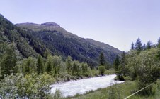 Enlarge photo 56