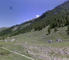 Enlarge photo 37