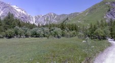 Enlarge photo 39