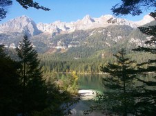 Enlarge photo 12