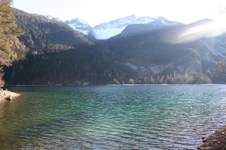 Enlarge photo 7