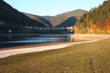 Enlarge photo 25