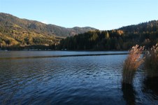 Enlarge photo 26